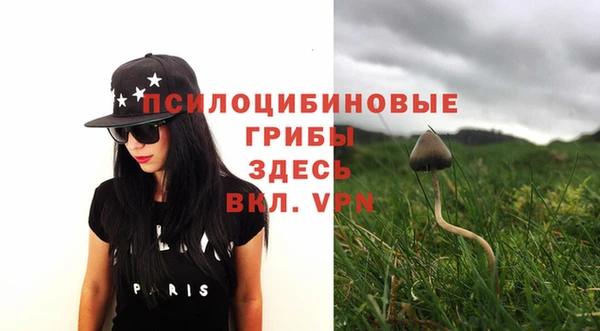 стафф Осинники