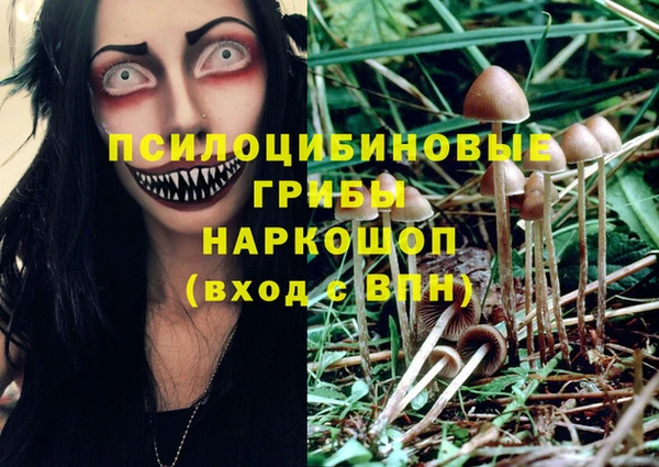 стафф Осинники