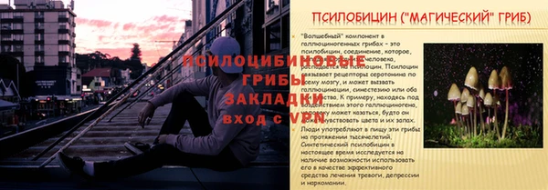 стафф Осинники